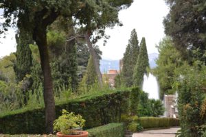 a garden with trees and bushes